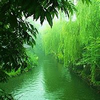 qq非主流景物头像