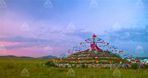 百草大全图片