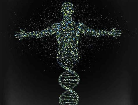 人类基因组计划对人类有哪些影响？