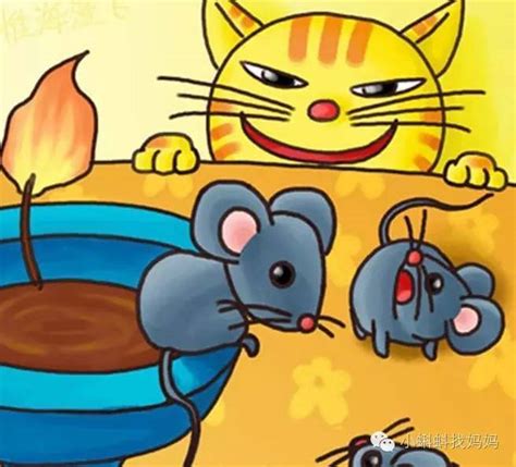 《猫和老鼠【6册】》 - 淘书团