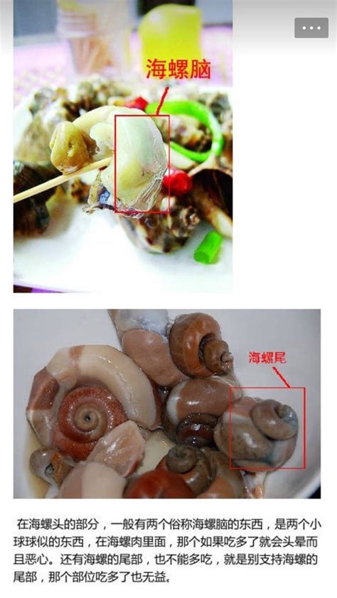海螺的什么部位最好不要吃，这3个不能吃的部位图解 - 生活常识 - 懂了笔记