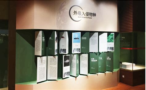 中国科学院昆明动物博物馆|空间|展示设计 |夫子造设计机构 - 原创作品 - 站酷 (ZCOOL)