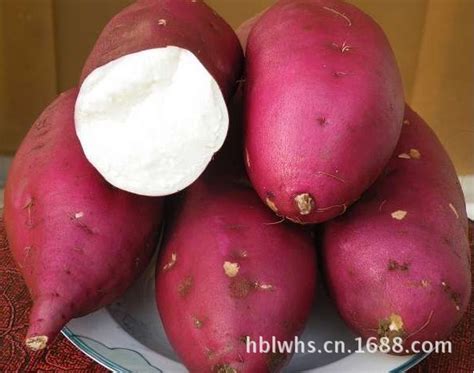 供应红心红薯 地瓜坊电烤红薯 龙薯九现已大量上市-阿里巴巴