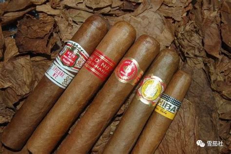 古巴雪茄2020年新品测试活动举行 王政详解雪茄测试环节奥秘|雪茄|古巴|哈伯纳斯_新浪新闻