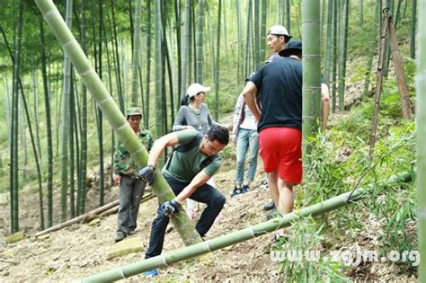 砍竹子最快的机器图片,最先进的竹工具,全自动竹机_大山谷图库