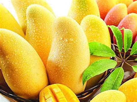 芒果和什么不能一起吃，芒果跟什么水果相克 - 鲜淘网