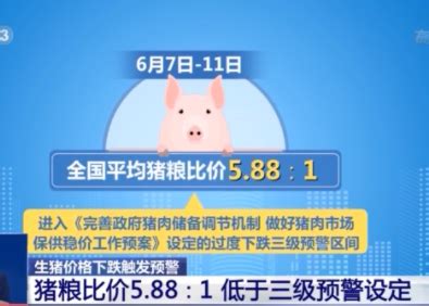 国家发改委发布生猪价格过度下跌三级预警 如何稳定生猪市场？专家解读_杭州网