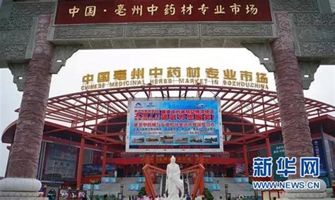 亳州中药材商品交易中心盛大开业_环球网