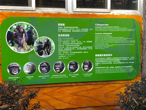 红山动物园参观记，带你发掘宝藏解说牌 | 深圳市自然教育中心八月交流会回顾 - 铭基金