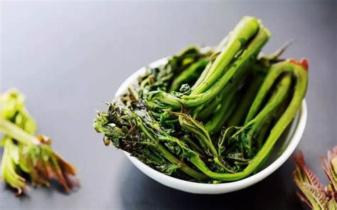 中国最常见的野菜以及食用方法
