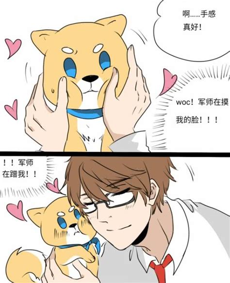 云亮(假车)作者:细s图片