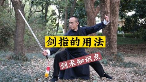 武术 剑术 撩剑 动作教学