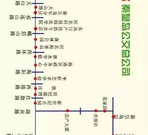 秦皇岛即将开通的这条公交线路，将影响33万人的生活！