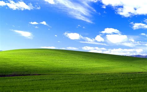 Windows XP, Vista buried by Blizzard | Ars Technica