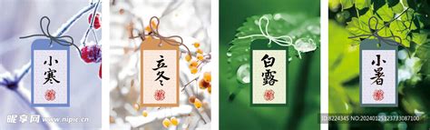 二十四节气书签图片
