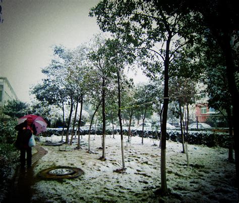 武汉气候怎样？冬天会下雪吗？_百度知道