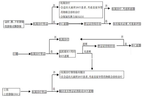 最新 ESC 共识：急性深静脉血栓形成的诊断和治疗 - 丁香园