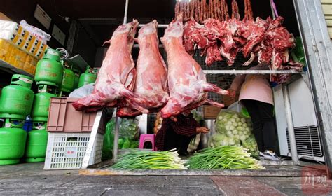 探访成都“羊肉汤一条街”：气温骤降，部分店铺客流量上涨五成_四川在线
