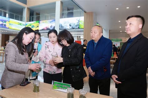 汉中西乡：打造最美茶乡，特色农业引领茶旅融合新篇章