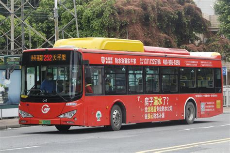 广州252路_广州252路公交车路线_广州252路公交车路线查询_广州252路公交车路线图
