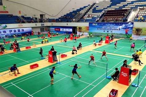 亚洲羽毛球混合团体赛-中国队战胜日本队夺冠 飞扬头条_飞扬网