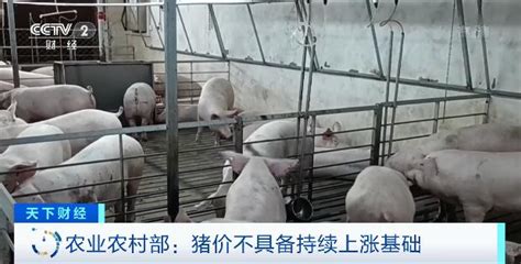 农业农村部最新回应“猪价上涨”_澎湃号·政务_澎湃新闻-The Paper