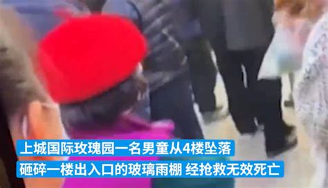 男童随母亲购物被抱走 1小时后坠亡 警方最新通报-中国网