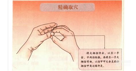 少商穴位图图片
