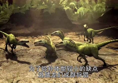 小朋友百科｜ 关于恐龙的3个小知识_动物