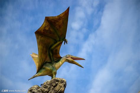 新疆哈密翼龙动物群发现大型恐龙化石 其一命名为中国丝路巨龙凤凰网湖北_凤凰网