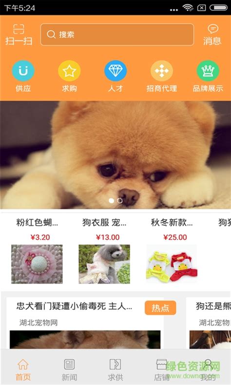 武汉宠物“留守”生意火爆 春节收费上涨一至五成_湖北频道_凤凰网