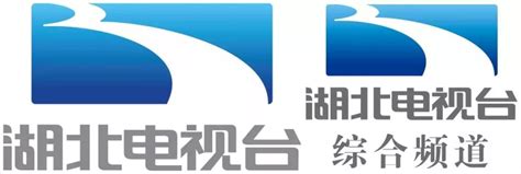 武汉电视台 台标 标志LOGO设计图__公共标识标志_标志图标_设计图库_昵图网nipic.com