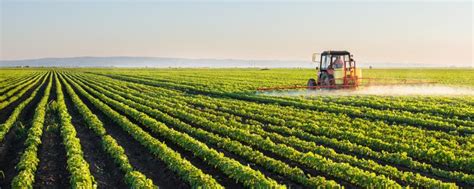 未来5年新农业十大发展趋势，不可错过的高科技现代化农场_智慧农业-农博士农先锋网