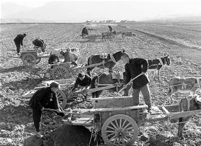 中国50年代农业集体化运动 - 图说历史|国内 - 华声论坛