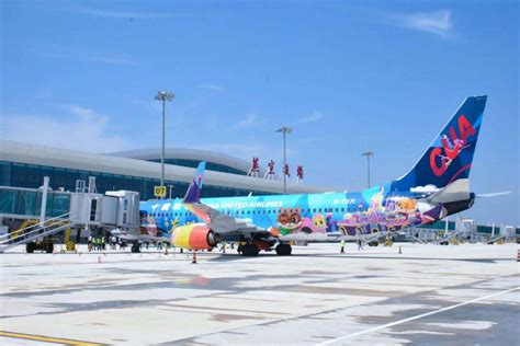 中国联合航空“欢乐芜湖号”彩绘飞机崭新亮相，设计创行业之最_中华网