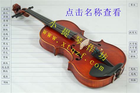 提琴结构 | 小提琴作坊