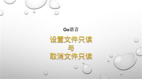 【Go|第3期】Go设置文件只读与取消文件只读_golang 设置文件chmod-CSDN博客