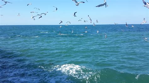 黄海、渤海沉积地层综述