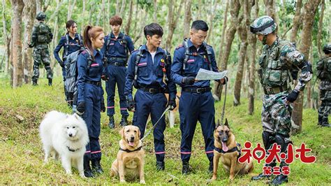 《神犬小七》热播 纪录片《狗狗在中国》将映_凤凰娱乐