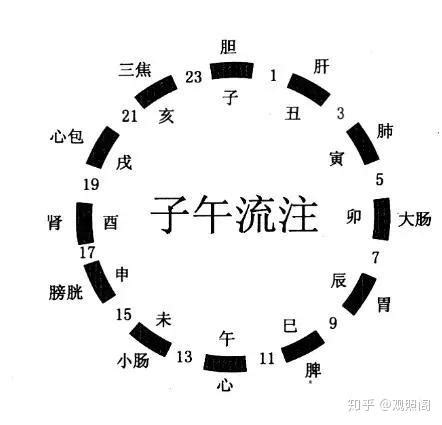 子丑寅卯辰巳午未申酉戌亥时间表，对应的北京时间和生肖 — 久久经验网