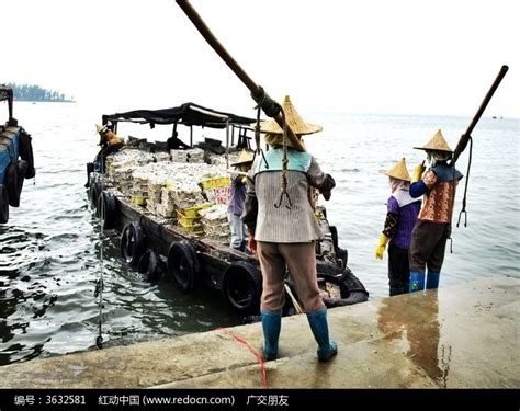 白马井渔港码头的渔民特写图片高清图片下载_红动中国