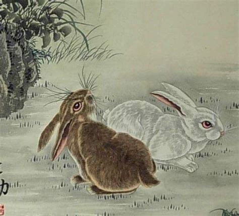 兔年属兔的人适合靠什么发财，值得收藏！|属兔|贵人|生肖兔_新浪新闻