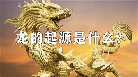 龙的起源是什么？中国龙和西方龙有什么不同？_腾讯视频