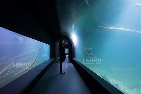 我的水族馆之旅----NO.1：沖縄美ら海水族館 - 知乎