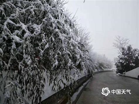 甘肃陇南积雪致部分乡镇电力中断-中国气象局政府门户网站