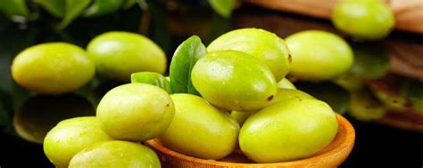 成熟的橄榄果怎么吃比较好_中华康网