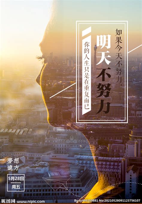 每日一拍图片