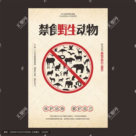 禁食野生动物,海报设计,画册/宣传单/广告,设计模板,汇图网www.huitu.com