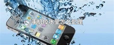 “西湖捞手机1500元”，景区回应-盐城新闻网