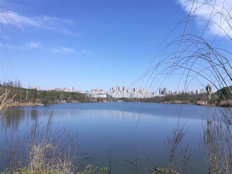 2019观山湖公园_旅游攻略_门票_地址_游记点评,贵阳旅游景点推荐 - 去哪儿攻略社区